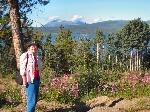 027 Susan, Lake Teslin, fireweed, Yukon, VT.jpg